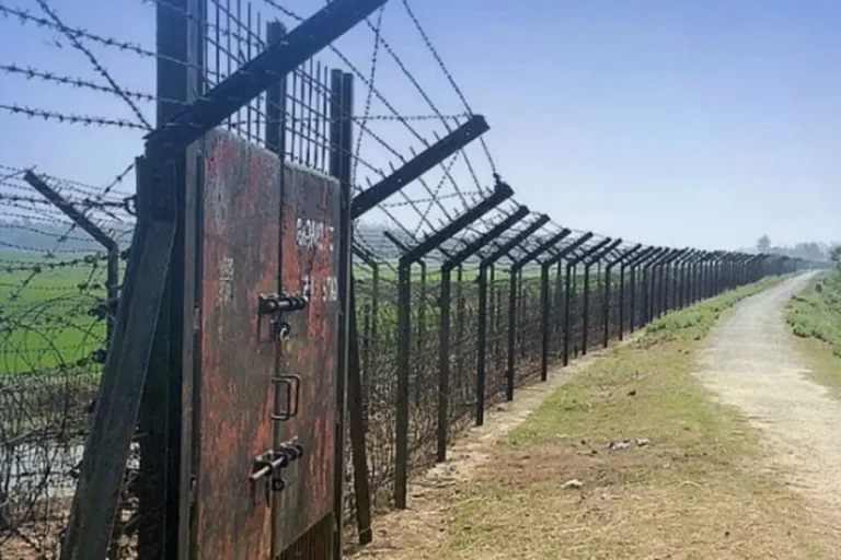 সাতক্ষীরা সীমান্তে ফের পুশ-ইন, ১৪ বাংলাদেশিকে ফেরত পাঠাল বিএসএফ