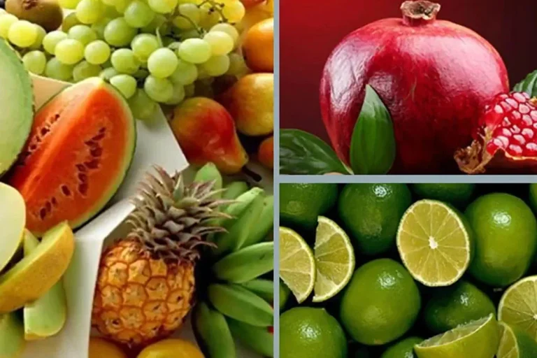 ডেঙ্গু রোগীর খাদ্য ব্যবস্থাপনা