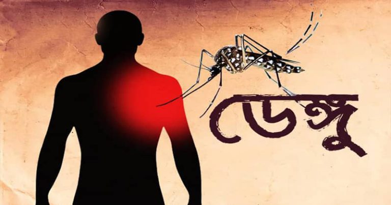 বরিশাল-কুমিল্লা থেকে বেশি ডেঙ্গু রোগী আসছে রাজধানীতে