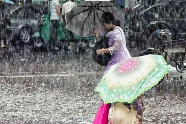 সাগরে লঘুচাপের আভাস, দেশজুড়ে বৃষ্টির সম্ভাবনা