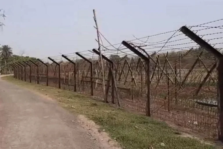 চানশিকারী সীমান্ত দিয়ে ১৯ জনকে পুশইন
