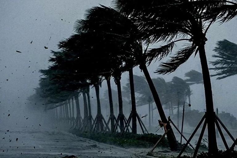 সন্ধ্যার মধ্যে চার জেলায় ঝড়-বৃষ্টির শঙ্কা, সতর্কসংকেত জারি
