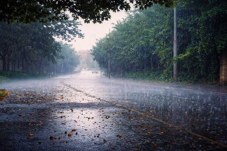 ৮ অঞ্চলে ঝড়-বৃষ্টির আভাস, নদীবন্দরে সতর্কতা