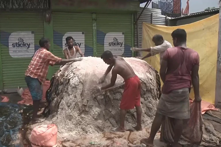 চামড়া সংরক্ষণে বিনামূল্যে লবণ সরবরাহ হয়েছে চাহিদার ১৬%