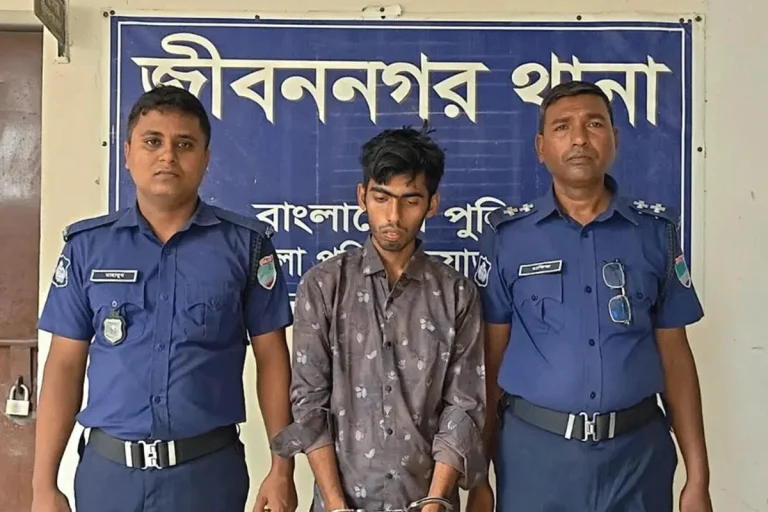 শ্বশুরবাড়ি এসে ঘুমন্ত স্ত্রীকে কুপিয়ে জখম, অতঃপর…