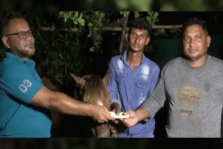 অন্ধ ঘোড়াকে আশ্রয় দেওয়া সাতক্ষীরার সোহানের পাশে প্রধানমন্ত্রী