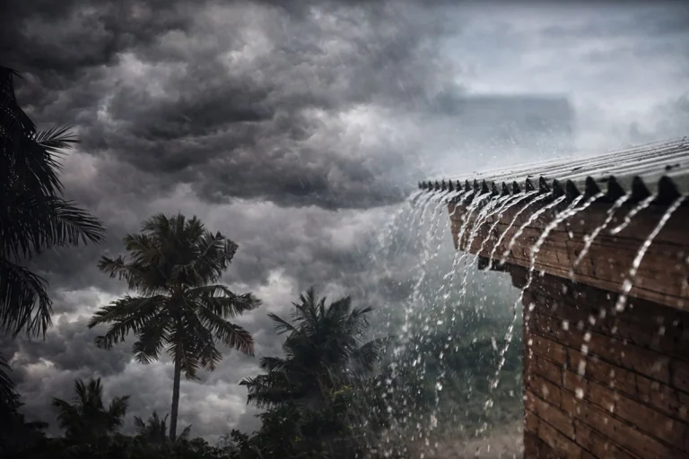 পাঁচ বিভাগে ভারী বৃষ্টির আভাস, কমতে পারে তাপপ্রবাহ