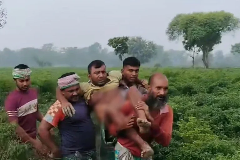 কুষ্টিয়া সীমান্তে বিএসএফের গুলিতে বাংলাদেশি কৃষক আহত, বিজিবির পাল্টা ফায়ার
